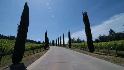 Road passing through landscape