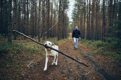 Man with dog in the forest