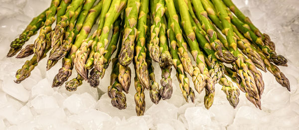 Fresh green asparagus on ice