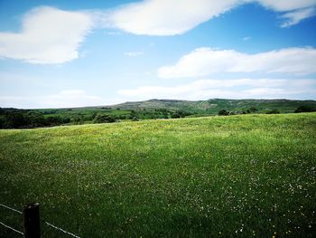 Scenic view of field against sky