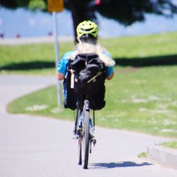 Rear view of man riding bicycle on road