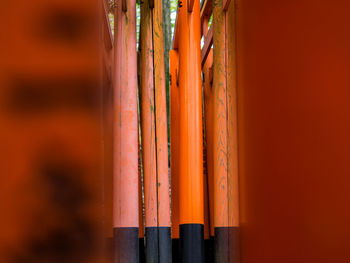 Close-up of colored pencils