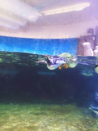 View of sea against sky