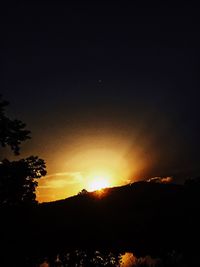 Silhouette of trees at sunset