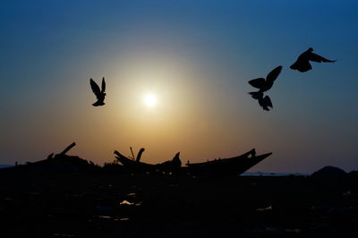 Silhouette birds flying in the sky