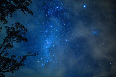 Low angle view of stars in sky