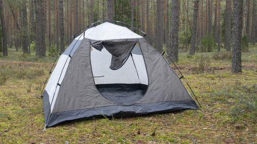 View of tent in forest