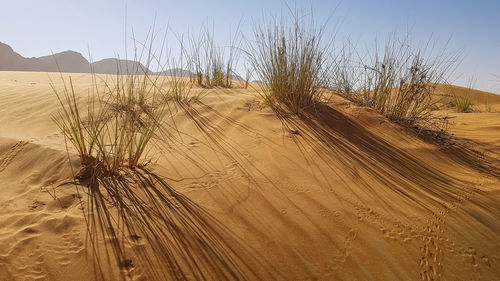 Scenic view of sand dunes against sky