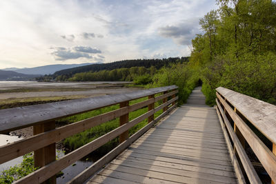 Empty boardwalk amidst trees against sky