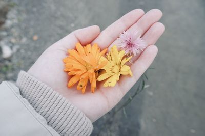 Close-up of hand holding flower