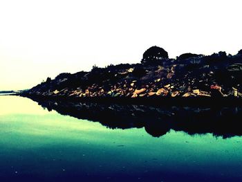 Reflection of trees in water