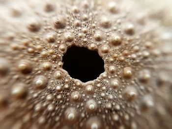 Extreme close up of water drops