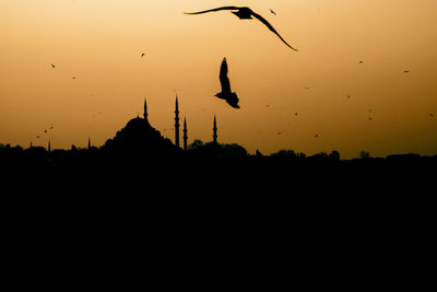 Silhouette birds flying against sky during sunset