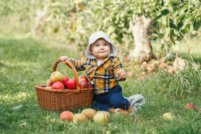Portrait of boy sitting with fruit basket on grassy field