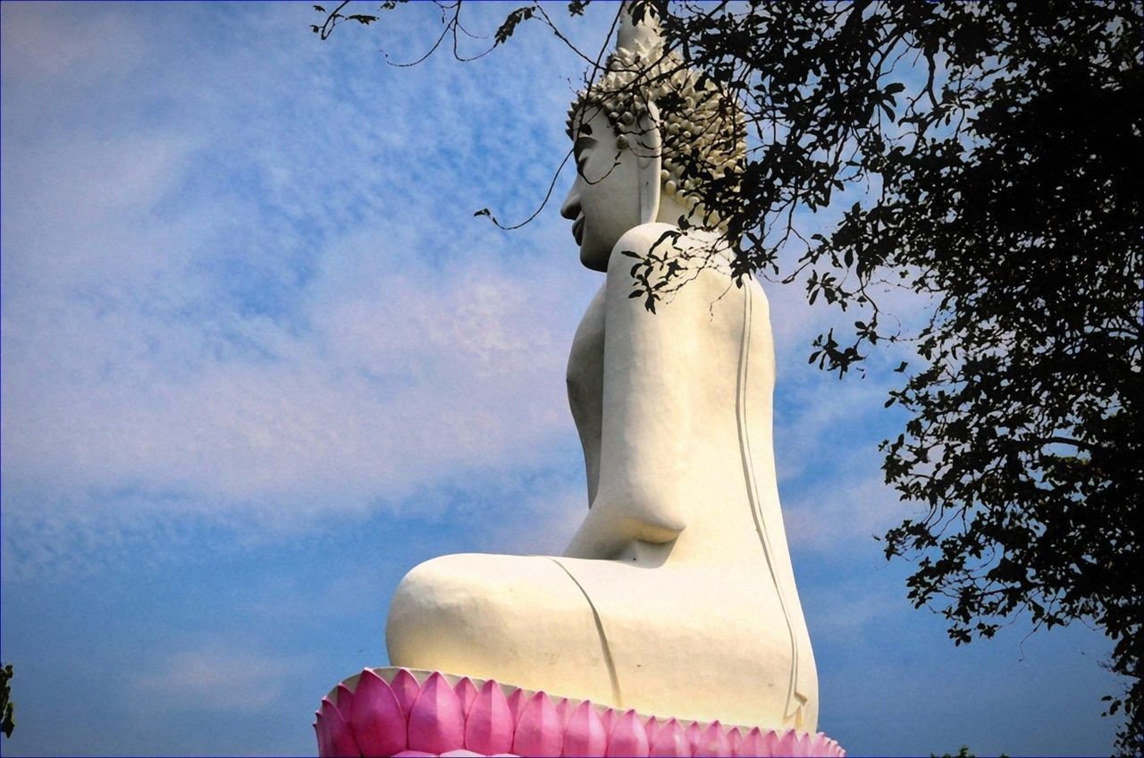 low angle view, sky, tree, person, white color, part of, cloud - sky, cloud, day, outdoors, sunlight, lifestyles, close-up, focus on foreground, blue, statue