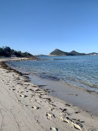 Scenic view of beach against clear blue sky