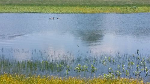 Scenic view of lake