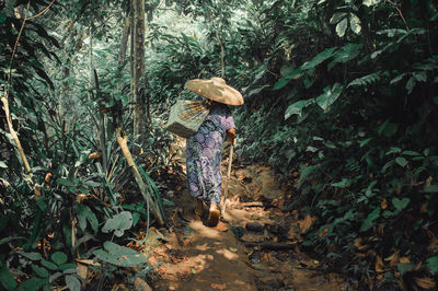 Rear view of woman walking in forest