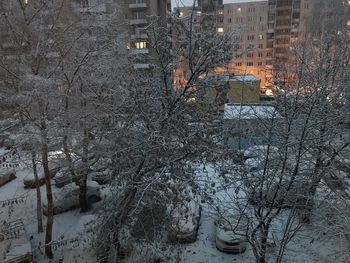 Bare trees by snow covered buildings in city