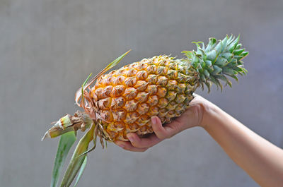 Close-up of hand holding apple