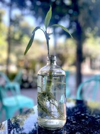 Close-up of drink on table