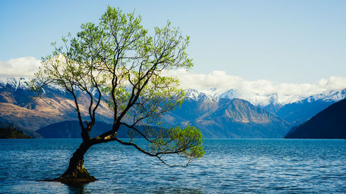 Scenic view of lake and mountains against sky