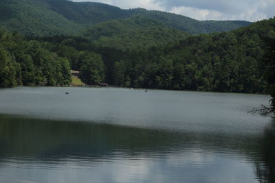 Scenic view of lake in forest