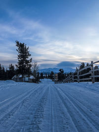 Snow covered road by trees against sky