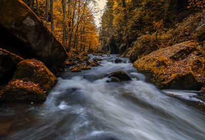 Scenic view of waterfall in forest during autumn