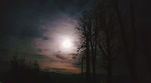 Low angle view of bare trees against sky during sunset