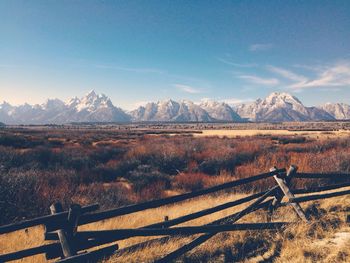 Scenic view of landscape against sky