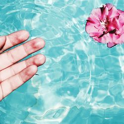 Cropped hand reaching towards flower floating in swimming pool