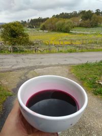 Close-up of tea cup on field against sky