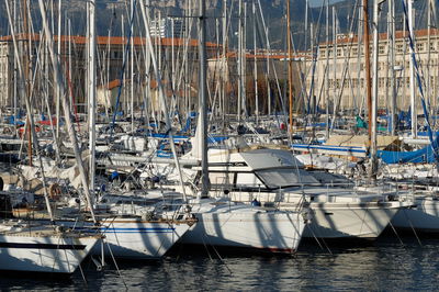 Sailboats moored in sea at harbor