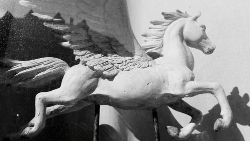 Statue of animal on wall