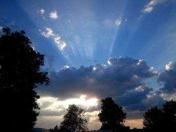 Low angle view of silhouette trees against sky