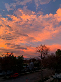 Street by trees against orange sky