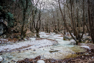 View of river in winter