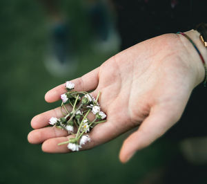 Close-up of hand holding leaf