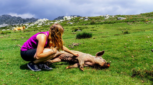 Sleeping pig being touched by woman on grassy field