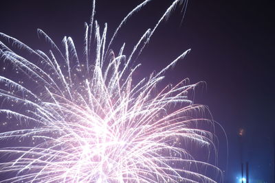 Low angle view of firework display at night