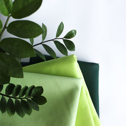 Cropped image of plant over green textiles on white table