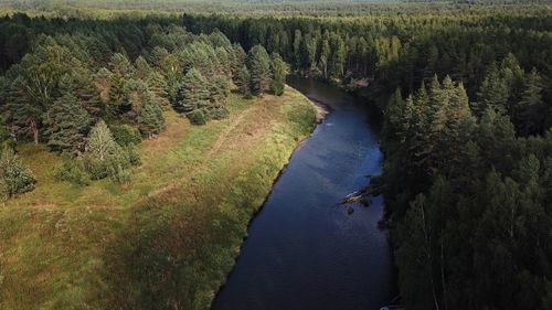 High angle view of water flowing in forest