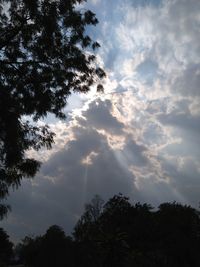 Low angle view of silhouette trees against sky