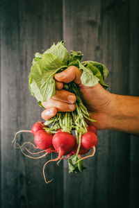 Close-up of hand holding strawberries