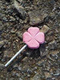 Close-up of heart shape on rock