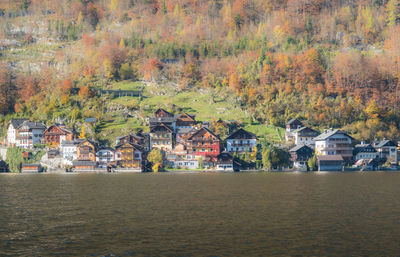 Houses by trees in city during autumn