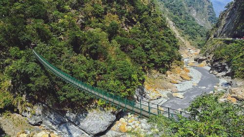 High angle view of river amidst trees in forest