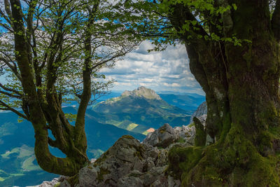 Scenic view of tree mountains against sky