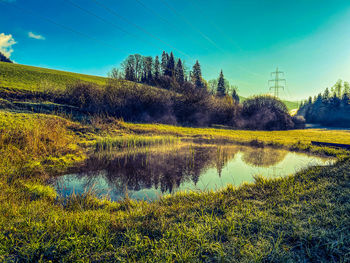 Scenic view of field against sky